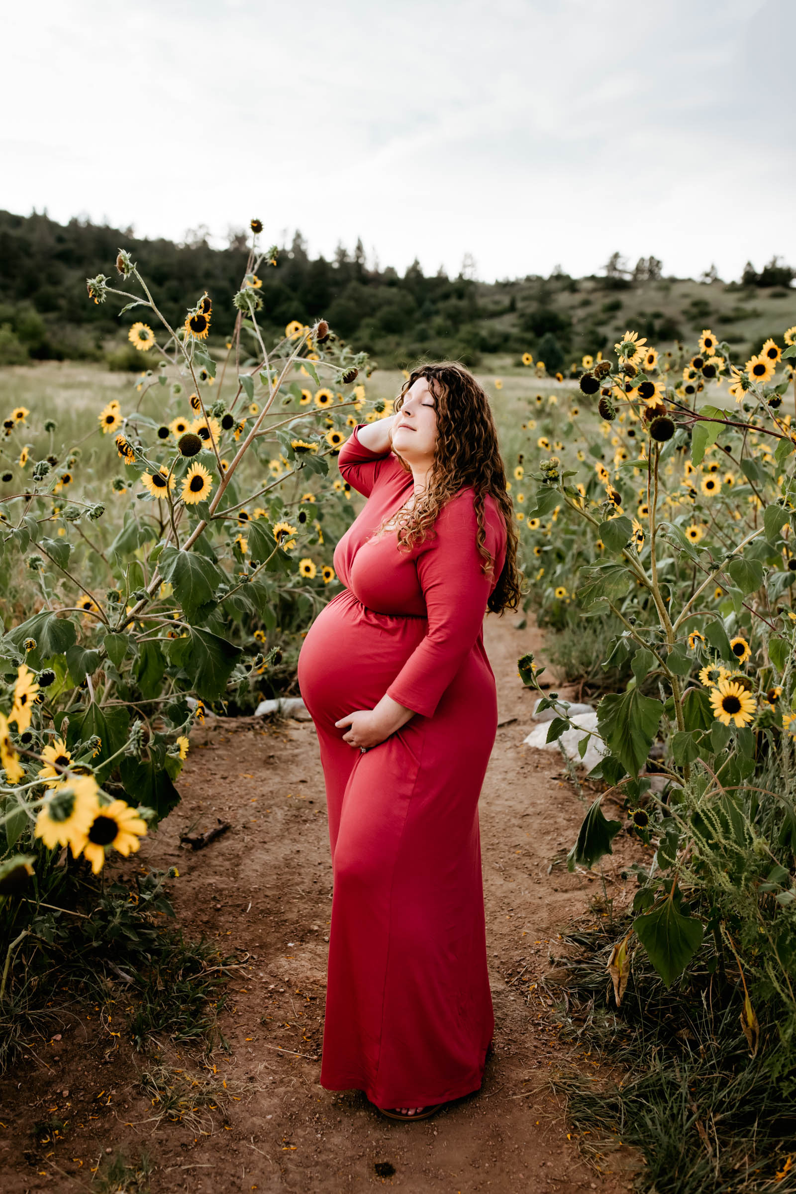 Sunflower Maternity Photos