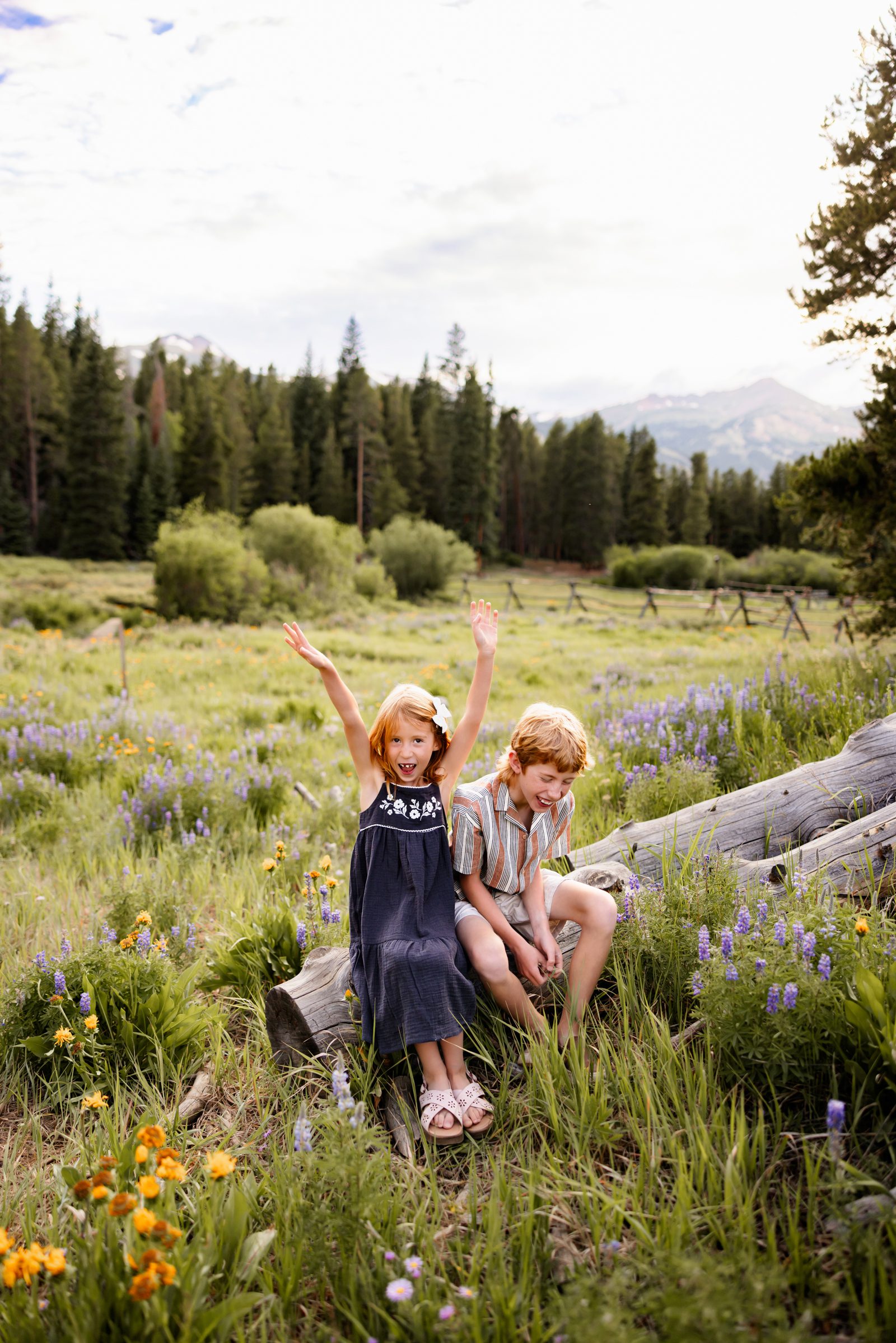 Breckenridge Family Photographer capturing playful siblings sitting on a log surrounded by summer wildflowers and alpine scenery