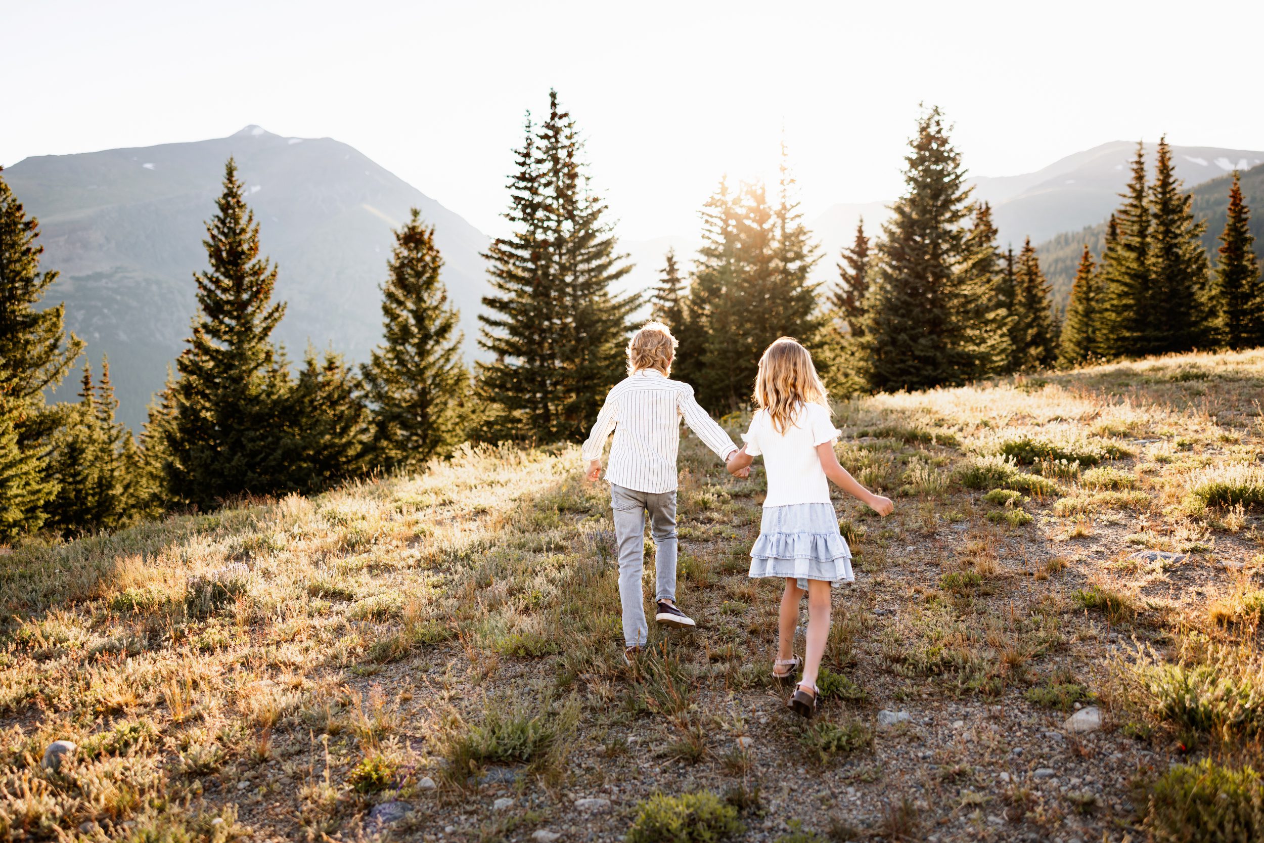 Breckenridge Family Photographer capturing siblings walking hand in hand through a sunlit alpine meadow at sunset