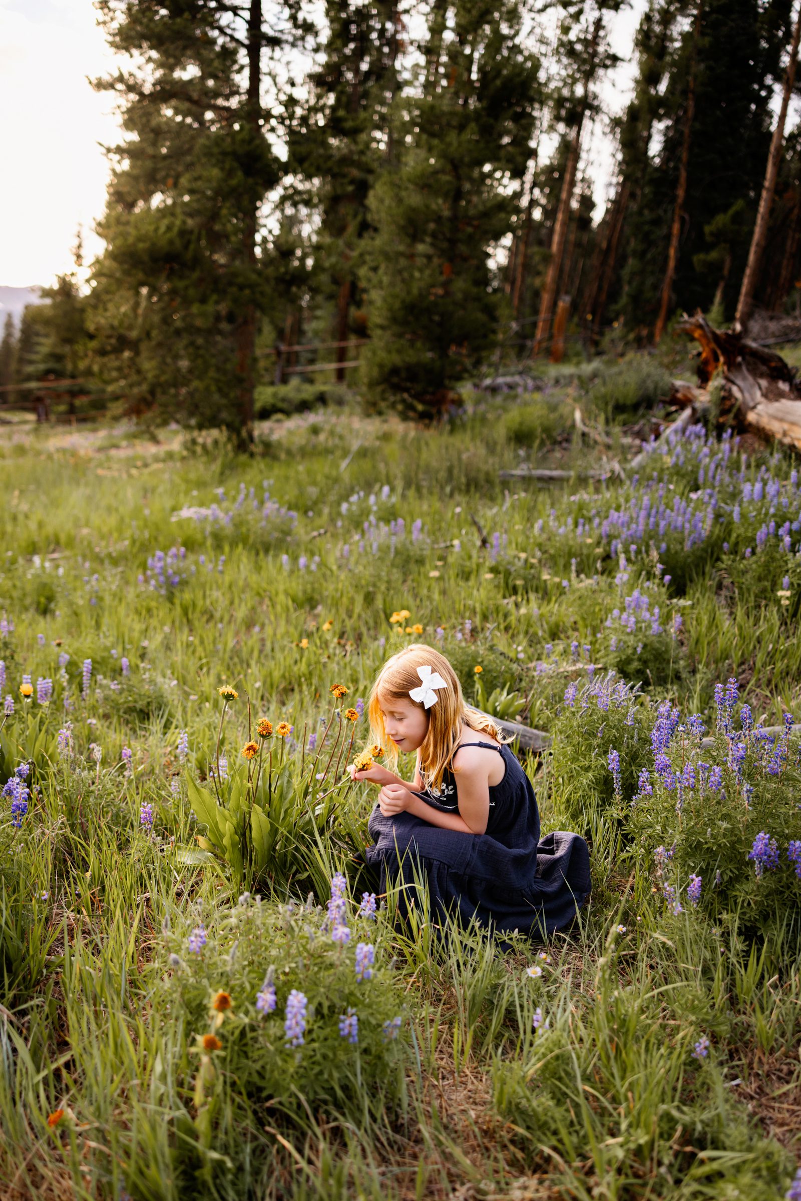 Young girl sitting in wildflowers picking flowers in a mountain meadow in Breckenridge
