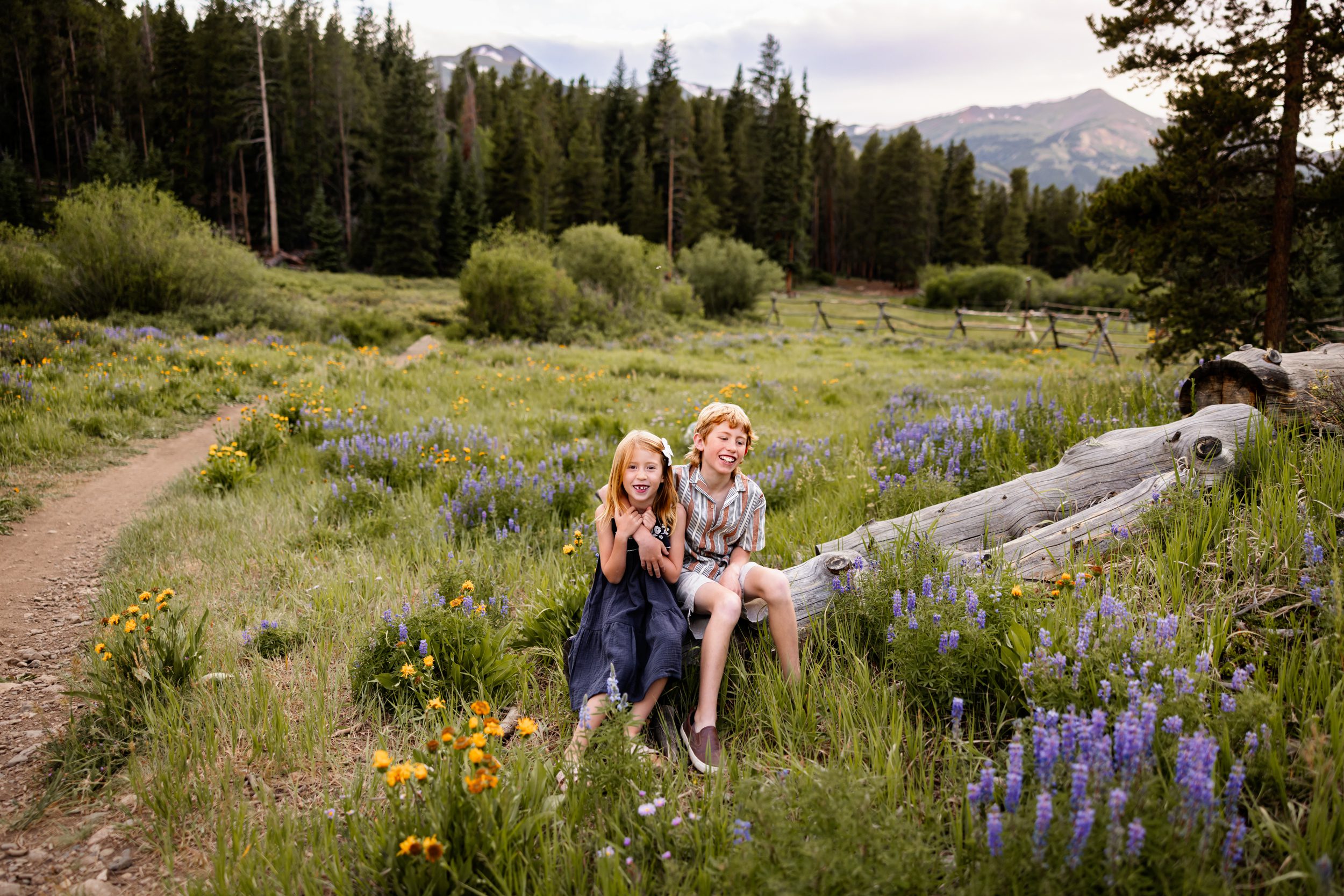 Breckenridge wildflower family photos of kids laughing together while sitting on a log surrounded by summer blooms