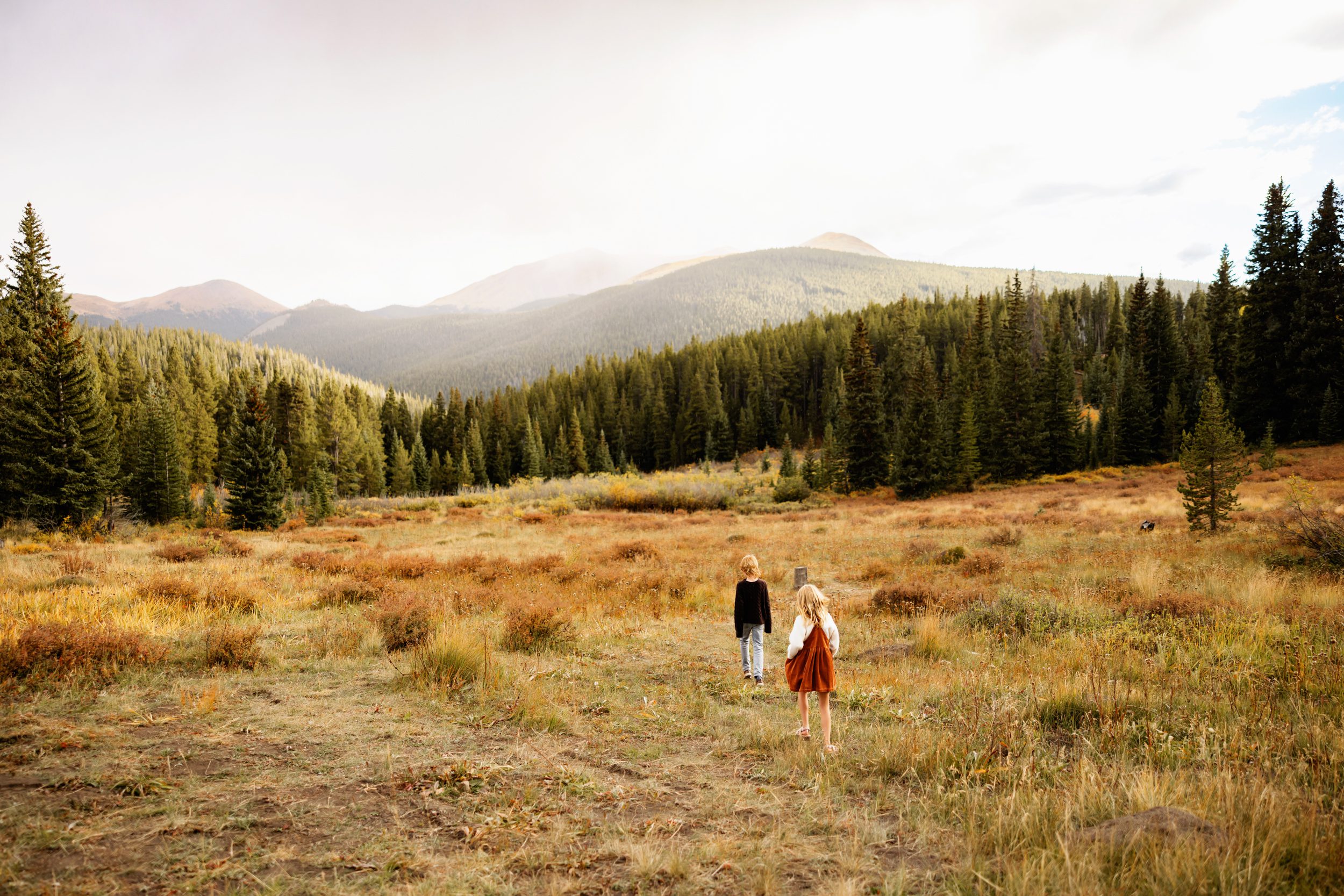 Kids exploring a grassy mountain meadow with evergreen trees and distant peaks during autumn