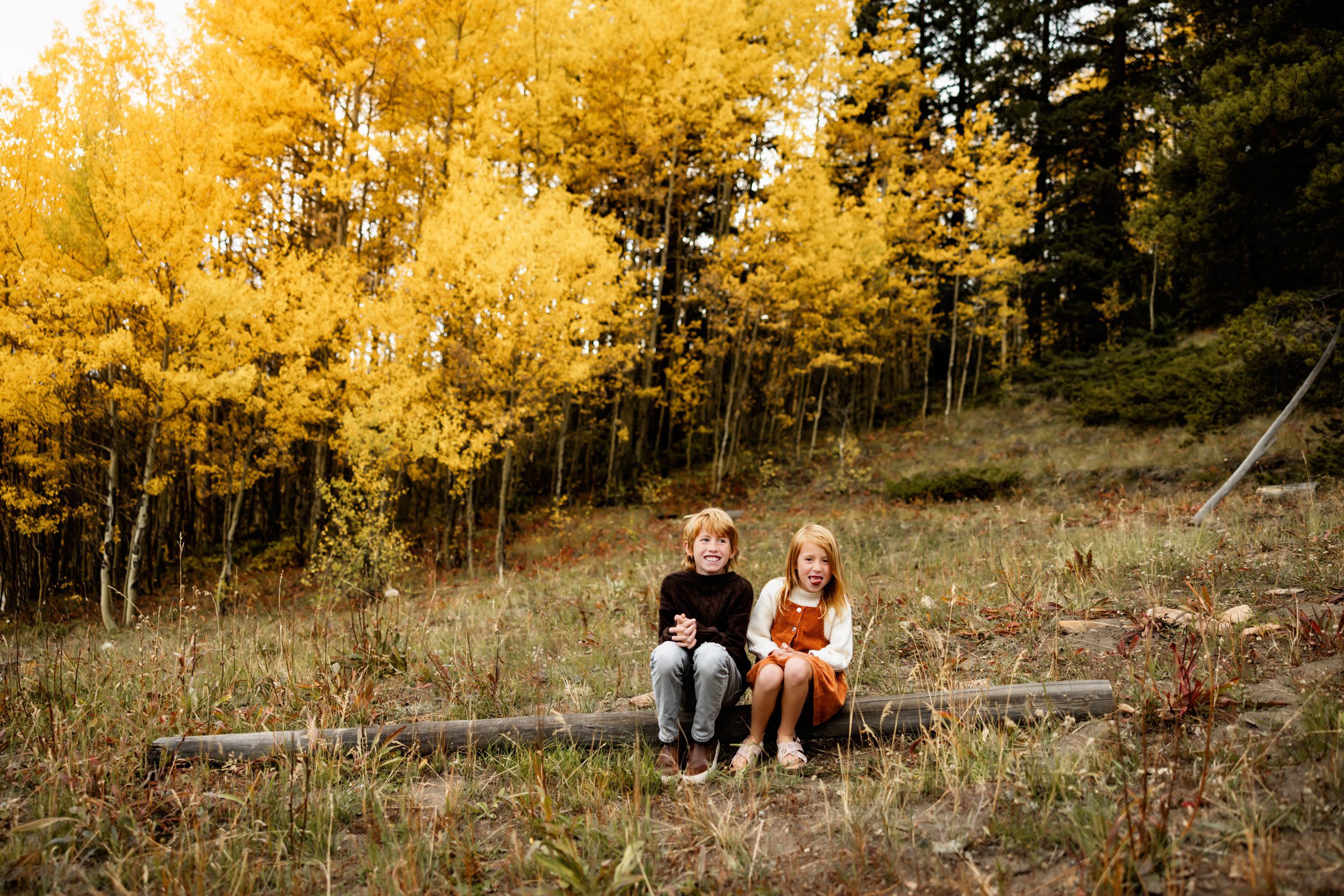 Two children sitting on a log laughing together with golden fall foliage behind them