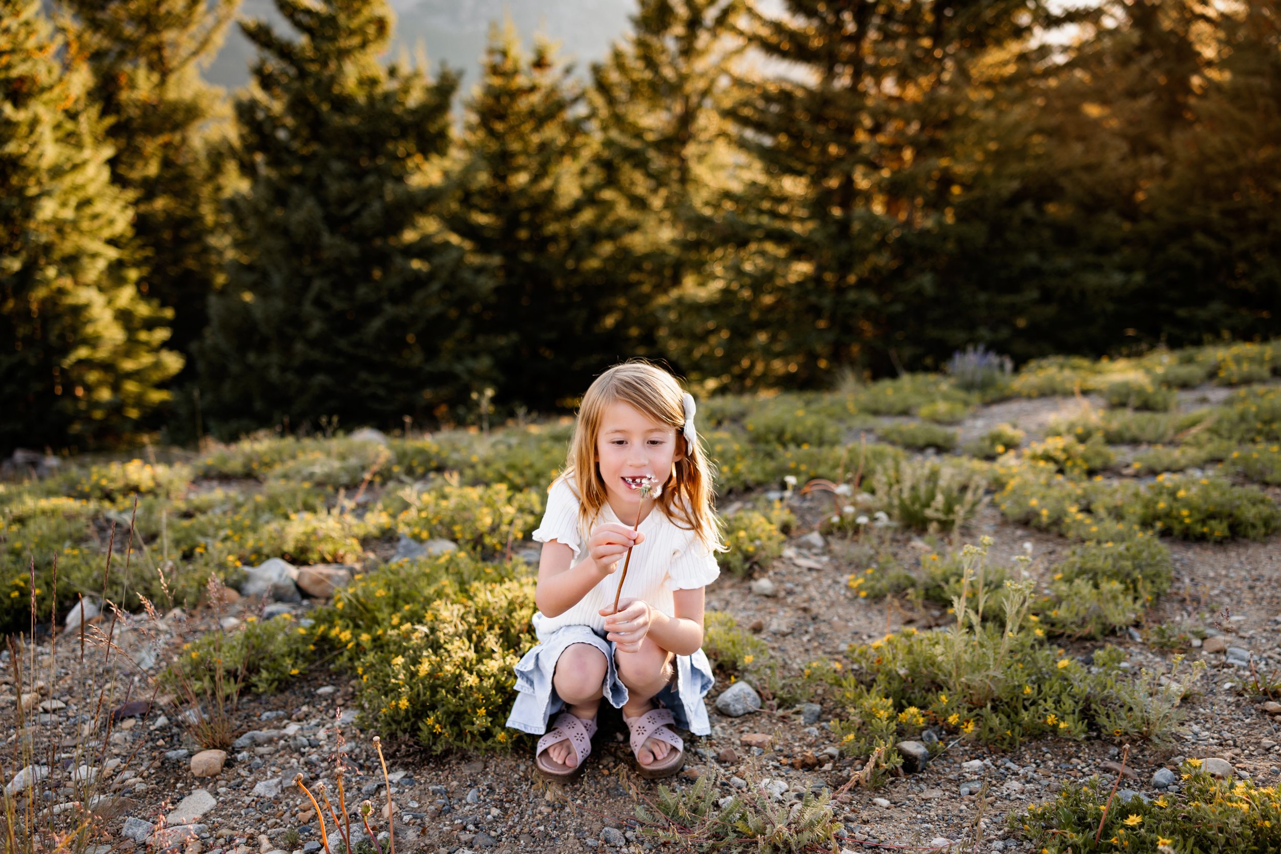 Candid portrait of a young girl during Family Photos in Breckenridge with warm forest light