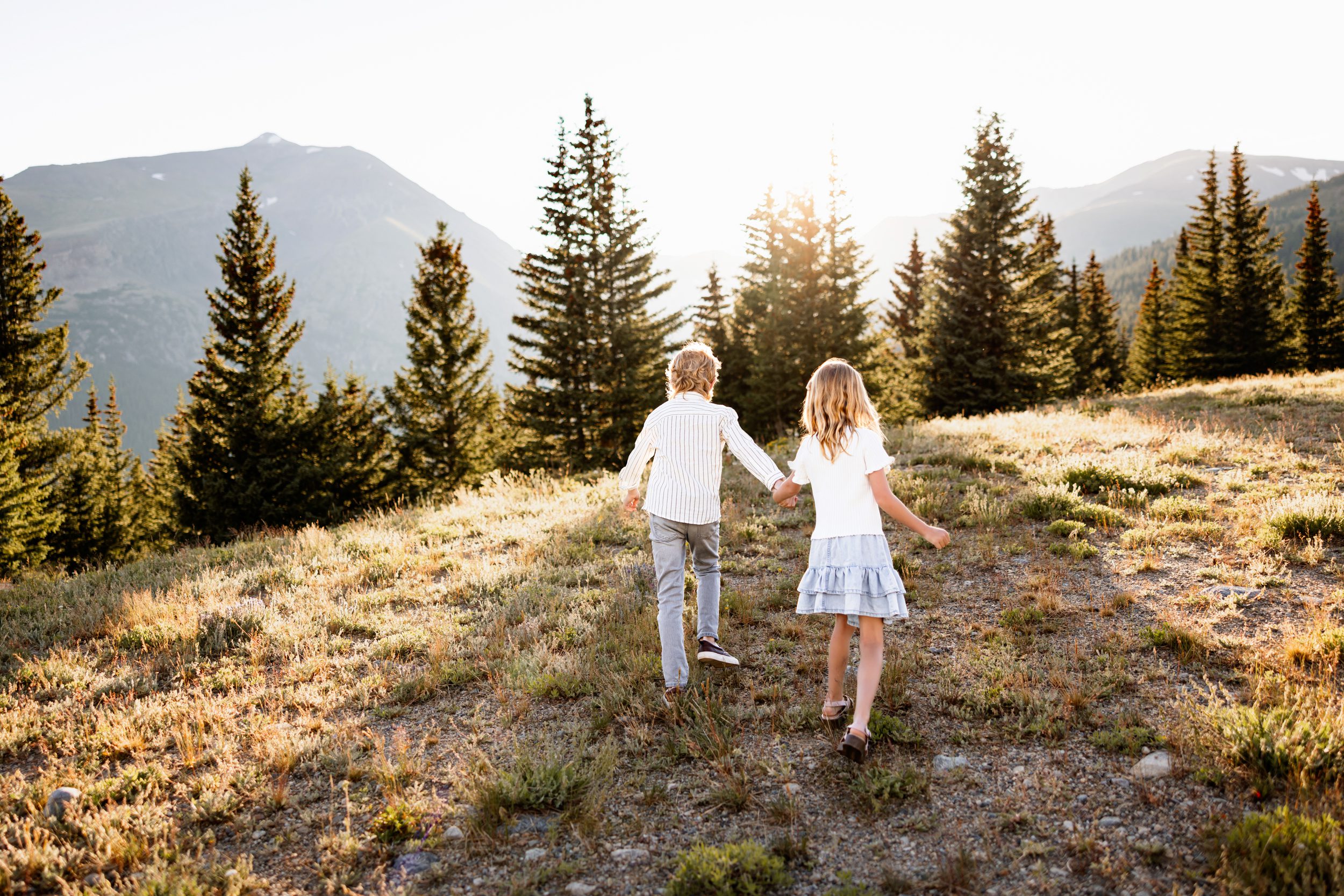 Children walking hand in hand through golden light during Family Photos in Breckenridge at Hoosier Pass