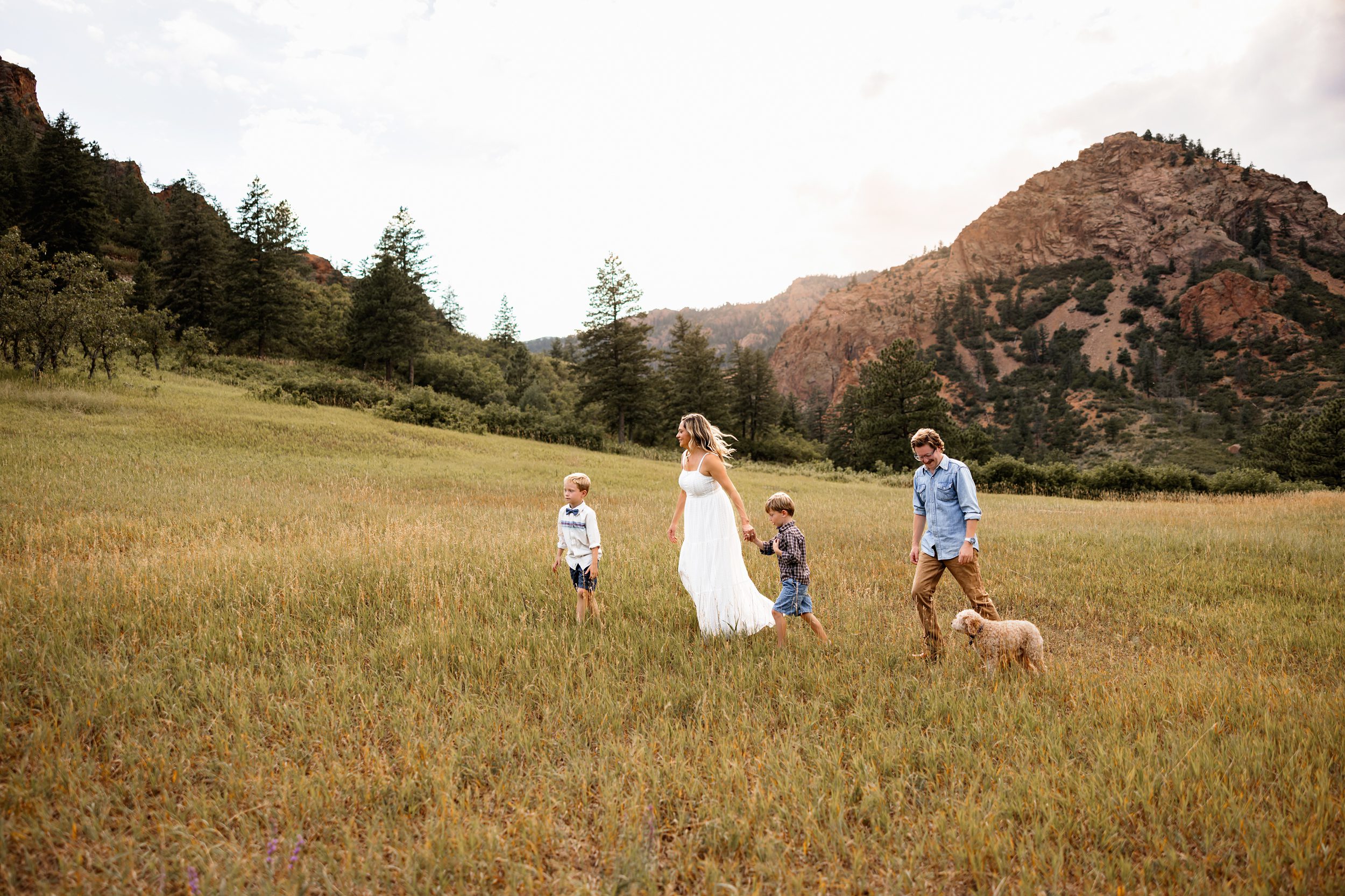 Family photos in North Cheyenne Canon of a family walking through an open meadow with mountain views at sunset