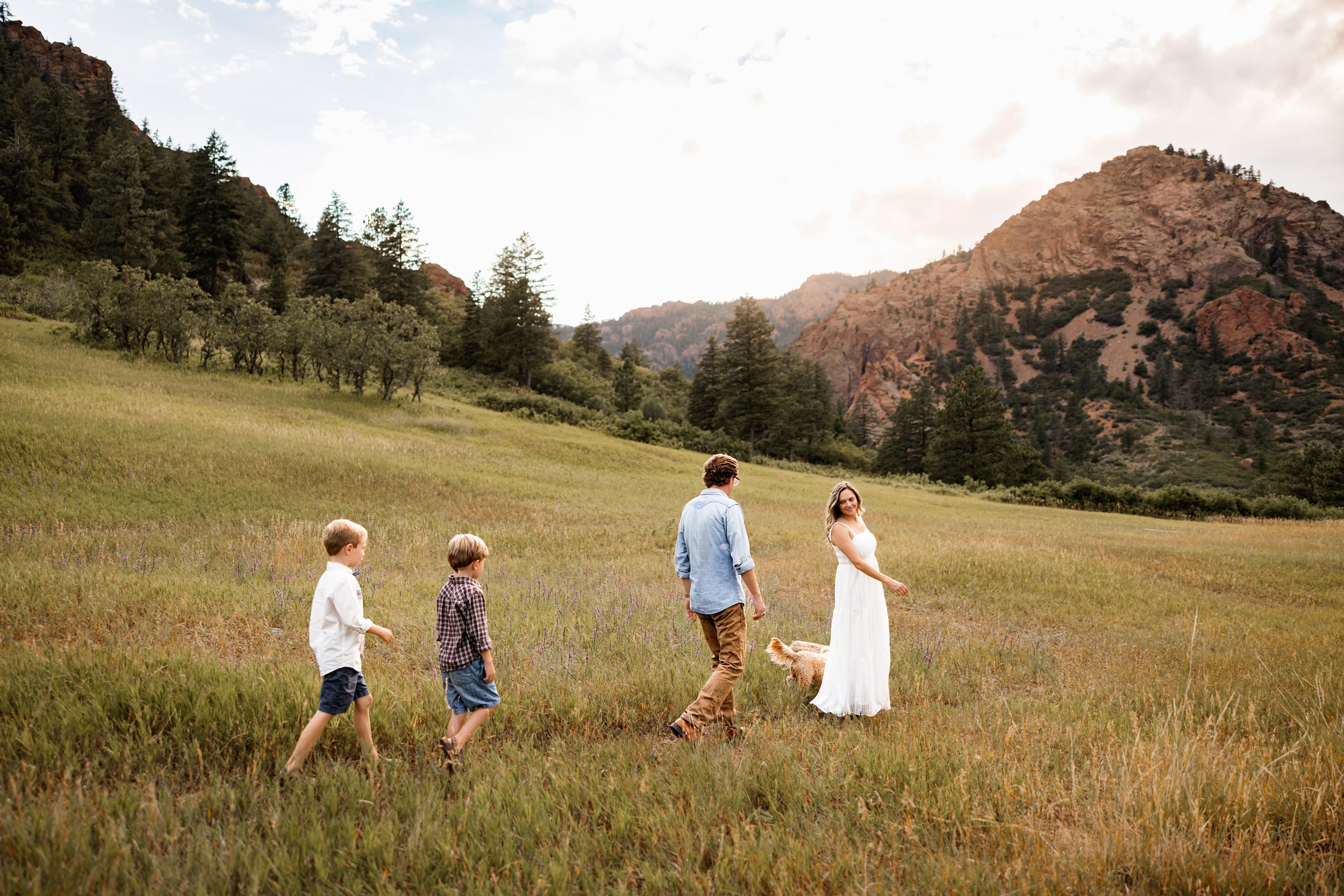 Family photos in North Cheyenne Canon showing parents and kids walking together through tall grass with a dog