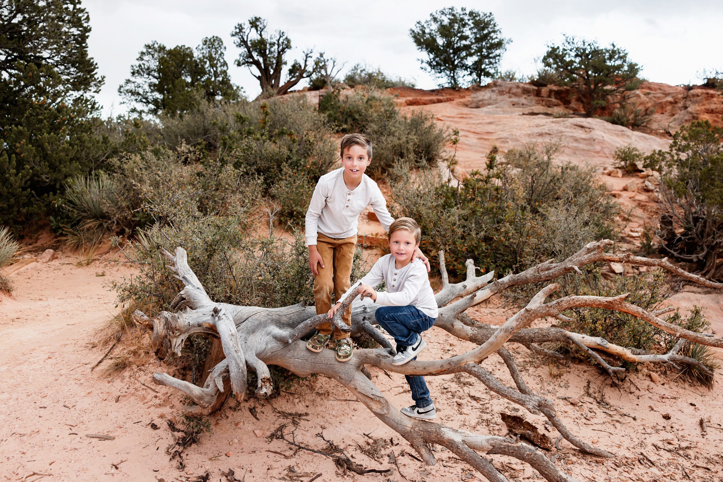 Two young boys climbing on a fallen tree in a desert landscape with muted light and cloudy skies, showing weather changes on your session day